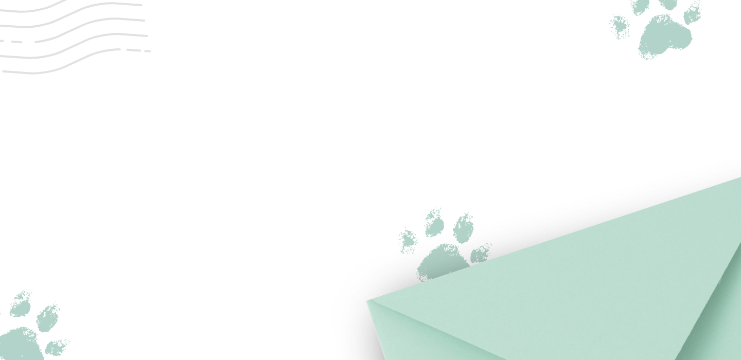 Singapore Cat clinic
