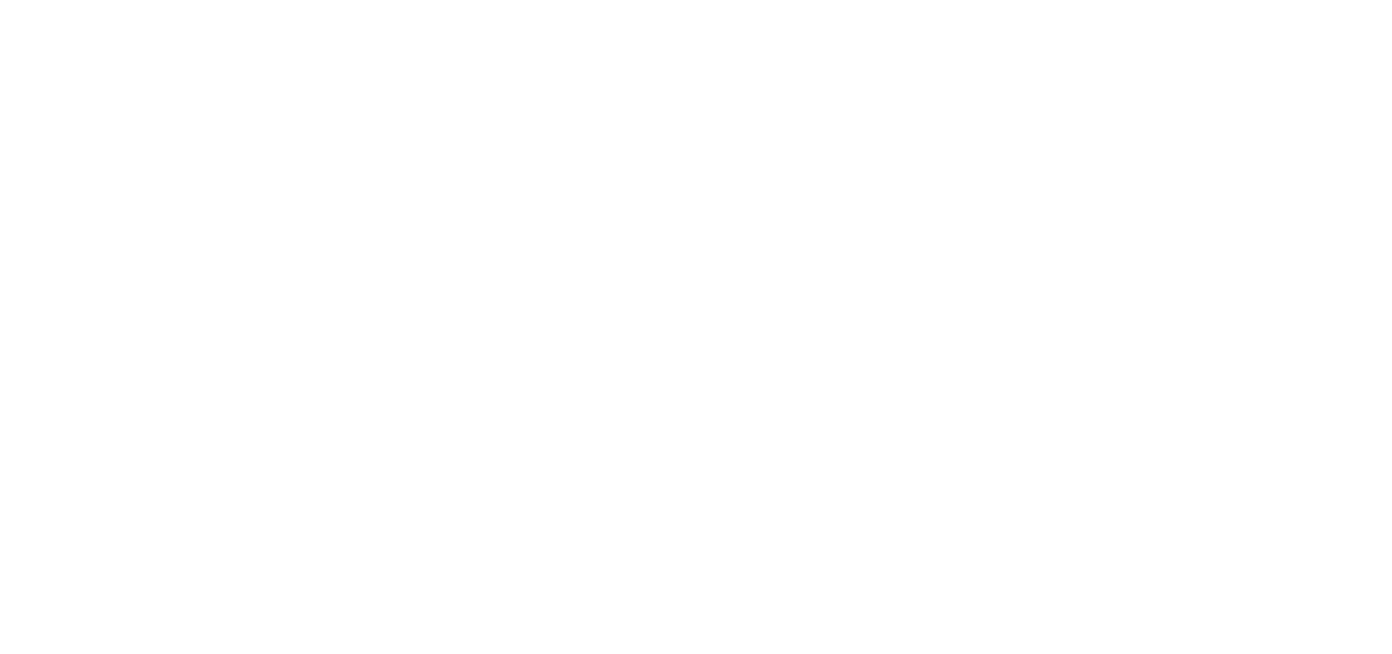 The Cat Clinic